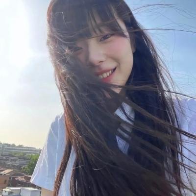 自由鸟